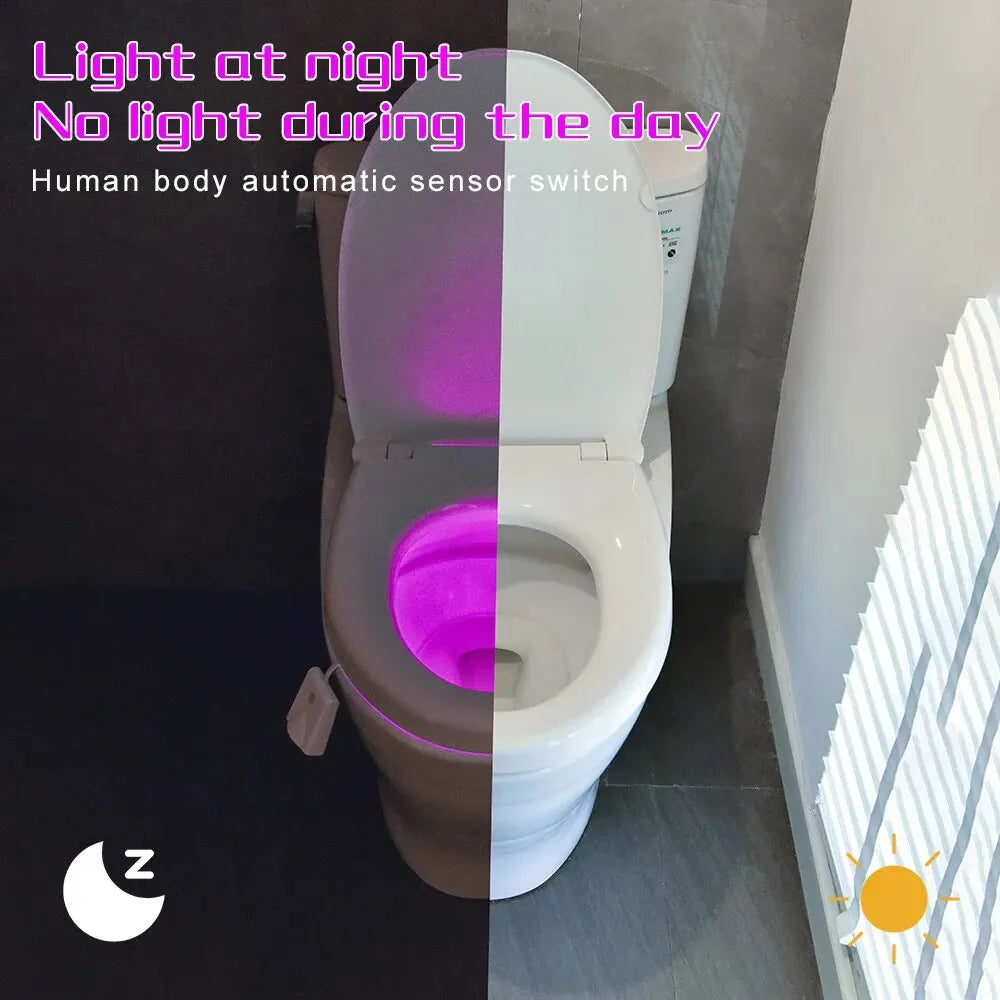 Glow-To-Go Toilet Light